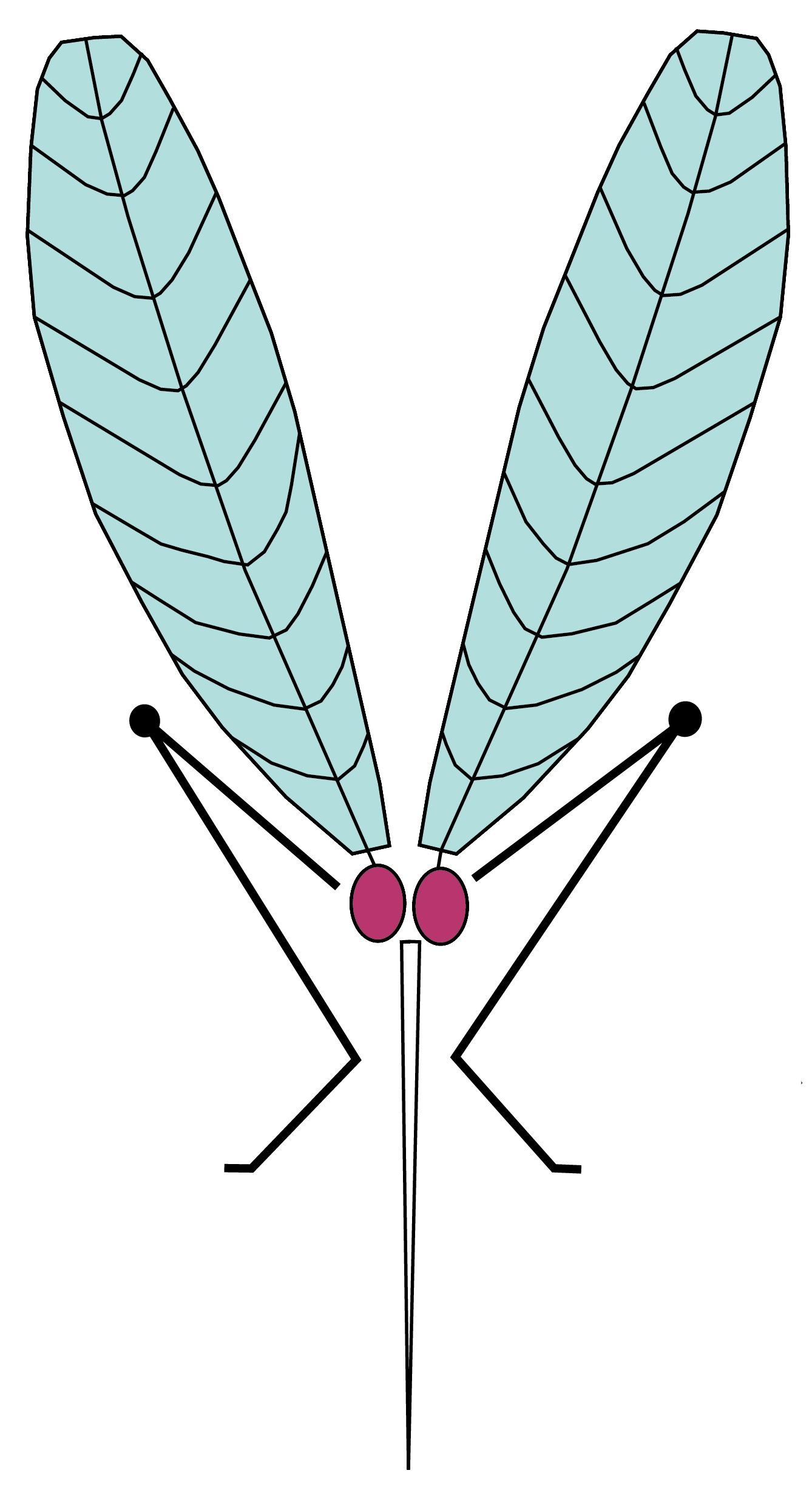 Logo von Sofie Mück, Maßschneidermeisterin, stilisierte Mücke.